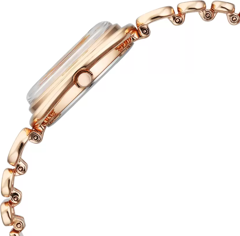 Raga Memoirs Analog Watch - For Women 95256WM01 - Image 6